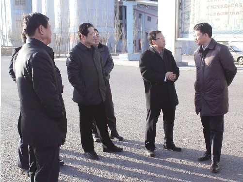 烏海市市長畢力夫一行到我集團工業循環經濟園參觀調研